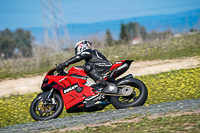 cadwell-no-limits-trackday;cadwell-park;cadwell-park-photographs;cadwell-trackday-photographs;enduro-digital-images;event-digital-images;eventdigitalimages;no-limits-trackdays;peter-wileman-photography;racing-digital-images;snetterton;snetterton-no-limits-trackday;snetterton-photographs;snetterton-trackday-photographs;trackday-digital-images;trackday-photos